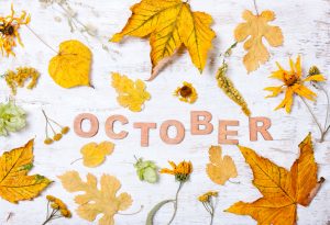 October Is National Dental Hygiene Month! 