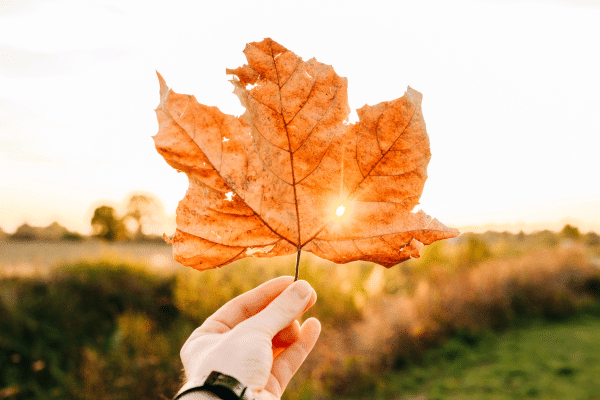 Find Your Straighter Smile