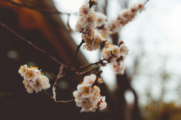 Brighten Your Smile sheridan wy