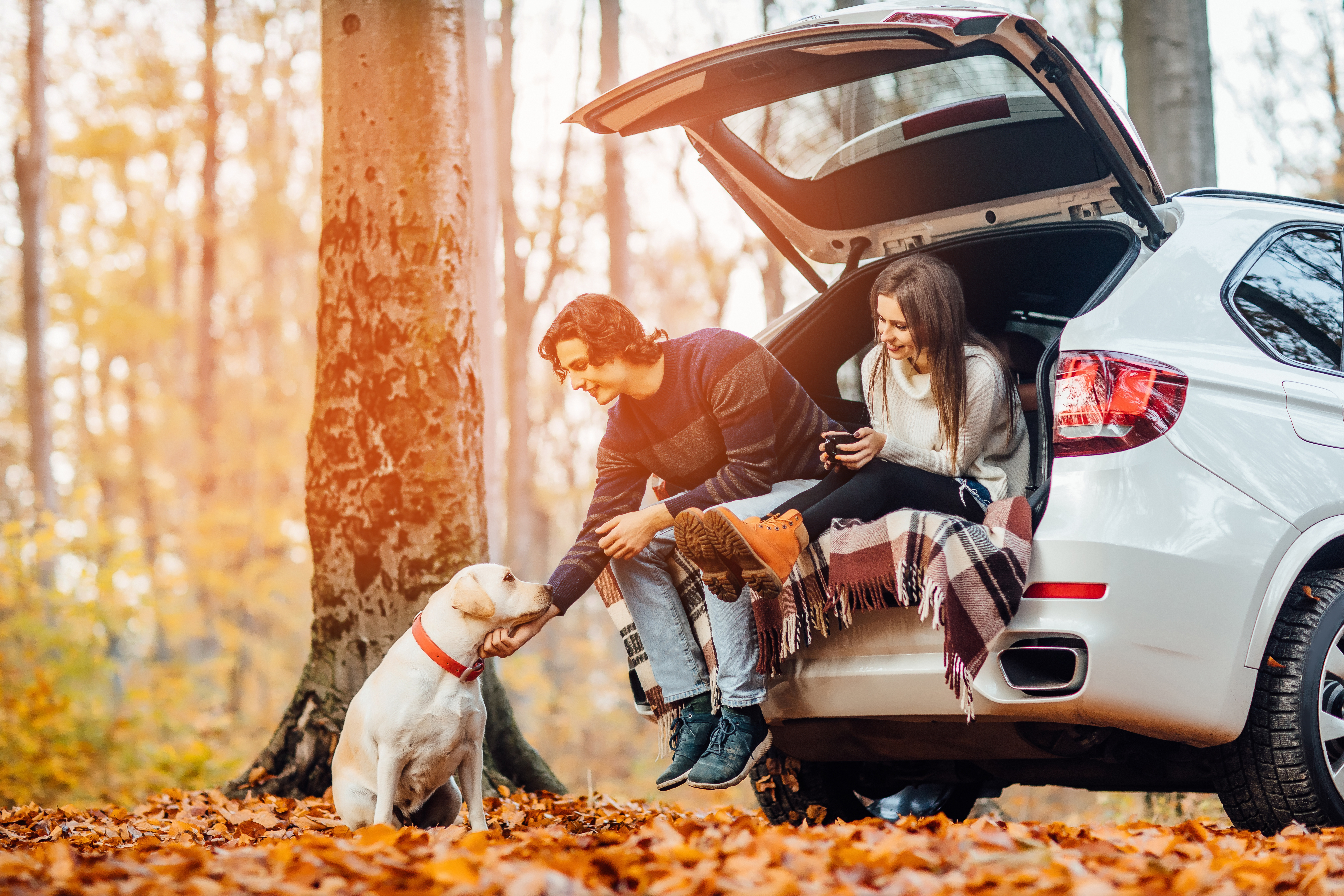 Young couple have a picnic with their dog near automobile in the autumn light forest. last checkup sheridan wy
